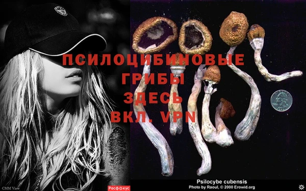 амф Кукмор