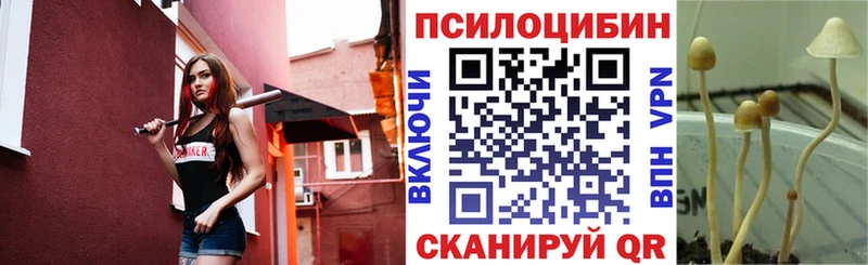 hydra сайт Ядрин Псилоцибиновые грибы мицелий